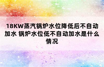 18KW蒸汽锅炉水位降低后不自动加水 锅炉水位低不自动加水是什么情况